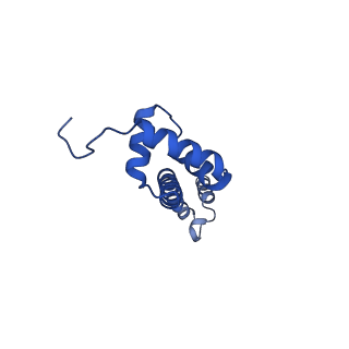 37559_8wi7_T_v1-0
Cryo- EM structure of Mycobacterium smegmatis 70S ribosome, bS1 and RafH.