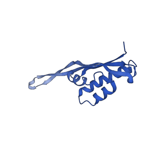 37559_8wi7_V_v1-0
Cryo- EM structure of Mycobacterium smegmatis 70S ribosome, bS1 and RafH.