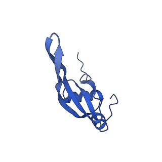 37559_8wi7_W_v1-0
Cryo- EM structure of Mycobacterium smegmatis 70S ribosome, bS1 and RafH.