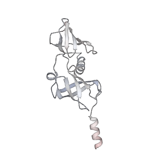 37559_8wi7_b_v1-0
Cryo- EM structure of Mycobacterium smegmatis 70S ribosome, bS1 and RafH.