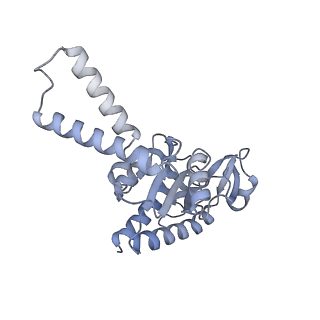 37559_8wi7_c_v1-0
Cryo- EM structure of Mycobacterium smegmatis 70S ribosome, bS1 and RafH.