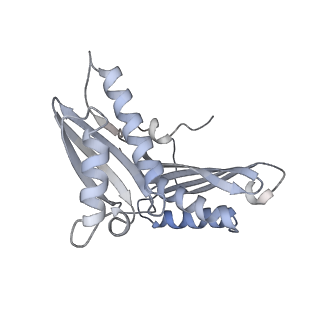 37559_8wi7_d_v1-0
Cryo- EM structure of Mycobacterium smegmatis 70S ribosome, bS1 and RafH.