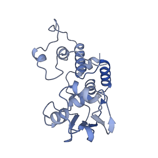 37559_8wi7_e_v1-0
Cryo- EM structure of Mycobacterium smegmatis 70S ribosome, bS1 and RafH.