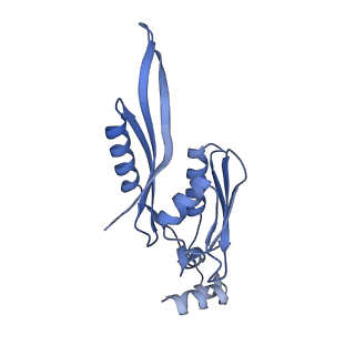 37559_8wi7_f_v1-0
Cryo- EM structure of Mycobacterium smegmatis 70S ribosome, bS1 and RafH.