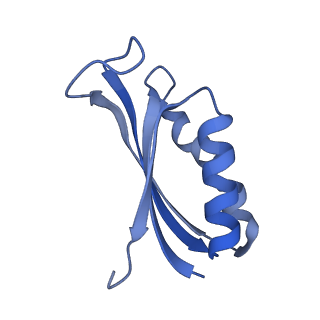 37559_8wi7_g_v1-0
Cryo- EM structure of Mycobacterium smegmatis 70S ribosome, bS1 and RafH.