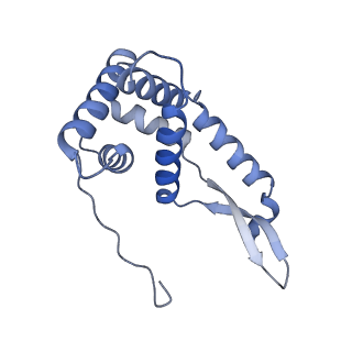 37559_8wi7_h_v1-0
Cryo- EM structure of Mycobacterium smegmatis 70S ribosome, bS1 and RafH.