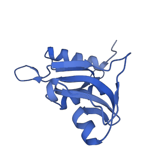 37559_8wi7_i_v1-0
Cryo- EM structure of Mycobacterium smegmatis 70S ribosome, bS1 and RafH.