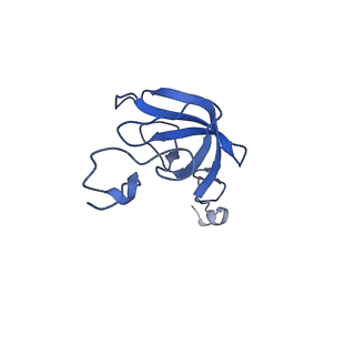 37559_8wi7_m_v1-0
Cryo- EM structure of Mycobacterium smegmatis 70S ribosome, bS1 and RafH.