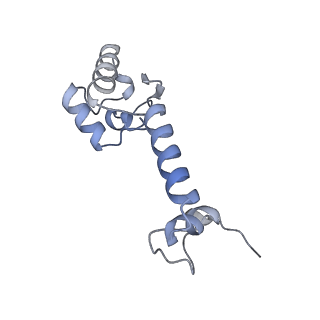 37559_8wi7_n_v1-0
Cryo- EM structure of Mycobacterium smegmatis 70S ribosome, bS1 and RafH.