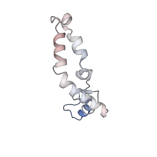 37559_8wi7_o_v1-0
Cryo- EM structure of Mycobacterium smegmatis 70S ribosome, bS1 and RafH.