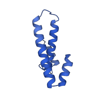 37559_8wi7_p_v1-0
Cryo- EM structure of Mycobacterium smegmatis 70S ribosome, bS1 and RafH.