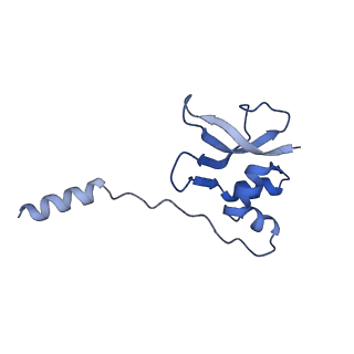 37559_8wi7_q_v1-0
Cryo- EM structure of Mycobacterium smegmatis 70S ribosome, bS1 and RafH.
