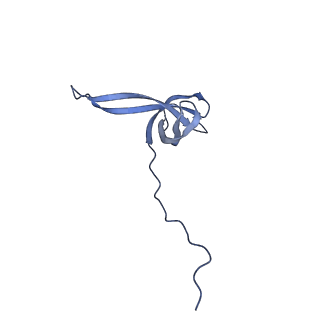 37559_8wi7_r_v1-0
Cryo- EM structure of Mycobacterium smegmatis 70S ribosome, bS1 and RafH.