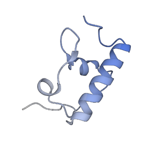 37559_8wi7_s_v1-0
Cryo- EM structure of Mycobacterium smegmatis 70S ribosome, bS1 and RafH.