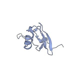 37559_8wi7_t_v1-0
Cryo- EM structure of Mycobacterium smegmatis 70S ribosome, bS1 and RafH.