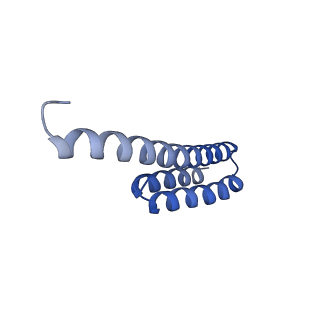 37559_8wi7_u_v1-0
Cryo- EM structure of Mycobacterium smegmatis 70S ribosome, bS1 and RafH.