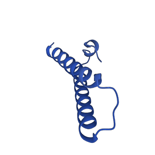 37560_8wi8_2_v1-0
Cryo- EM structure of Mycobacterium smegmatis 50S ribosomal subunit (body 1) of 70S ribosome, bS1 and RafH.