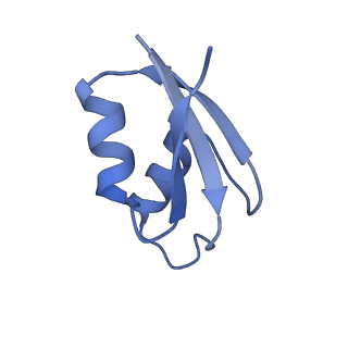 37560_8wi8_3_v1-0
Cryo- EM structure of Mycobacterium smegmatis 50S ribosomal subunit (body 1) of 70S ribosome, bS1 and RafH.