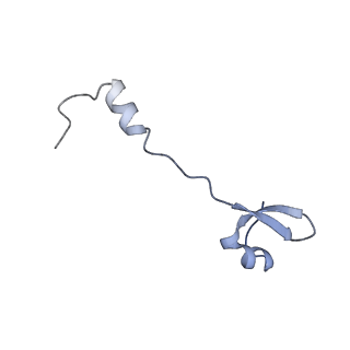 37560_8wi8_5_v1-0
Cryo- EM structure of Mycobacterium smegmatis 50S ribosomal subunit (body 1) of 70S ribosome, bS1 and RafH.