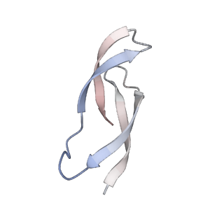 37560_8wi8_6_v1-0
Cryo- EM structure of Mycobacterium smegmatis 50S ribosomal subunit (body 1) of 70S ribosome, bS1 and RafH.