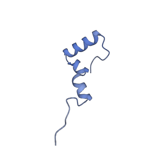 37560_8wi8_7_v1-0
Cryo- EM structure of Mycobacterium smegmatis 50S ribosomal subunit (body 1) of 70S ribosome, bS1 and RafH.