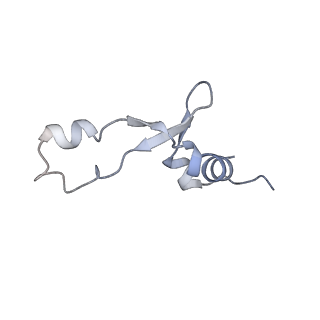 37560_8wi8_8_v1-0
Cryo- EM structure of Mycobacterium smegmatis 50S ribosomal subunit (body 1) of 70S ribosome, bS1 and RafH.