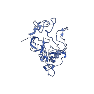 37560_8wi8_E_v1-0
Cryo- EM structure of Mycobacterium smegmatis 50S ribosomal subunit (body 1) of 70S ribosome, bS1 and RafH.