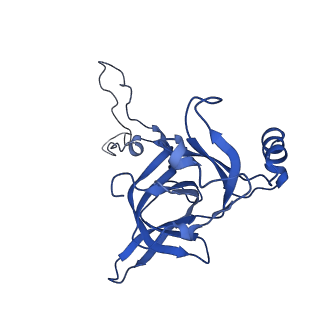 37560_8wi8_F_v1-0
Cryo- EM structure of Mycobacterium smegmatis 50S ribosomal subunit (body 1) of 70S ribosome, bS1 and RafH.