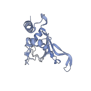 37560_8wi8_H_v1-0
Cryo- EM structure of Mycobacterium smegmatis 50S ribosomal subunit (body 1) of 70S ribosome, bS1 and RafH.