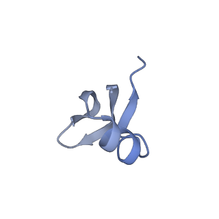 37560_8wi8_J_v1-0
Cryo- EM structure of Mycobacterium smegmatis 50S ribosomal subunit (body 1) of 70S ribosome, bS1 and RafH.