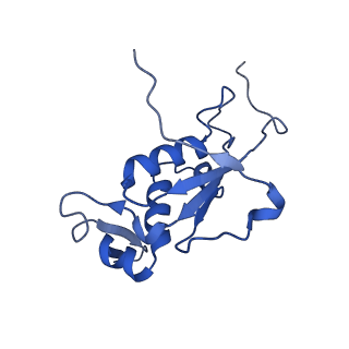 37560_8wi8_M_v1-0
Cryo- EM structure of Mycobacterium smegmatis 50S ribosomal subunit (body 1) of 70S ribosome, bS1 and RafH.