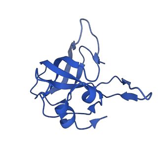 37560_8wi8_N_v1-0
Cryo- EM structure of Mycobacterium smegmatis 50S ribosomal subunit (body 1) of 70S ribosome, bS1 and RafH.