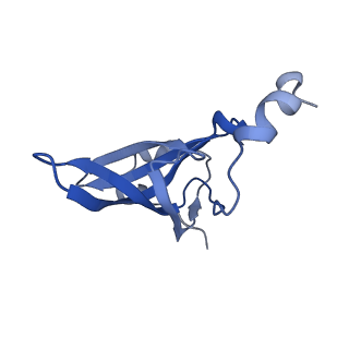 37560_8wi8_S_v1-0
Cryo- EM structure of Mycobacterium smegmatis 50S ribosomal subunit (body 1) of 70S ribosome, bS1 and RafH.