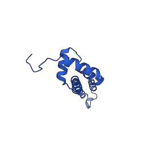 37560_8wi8_T_v1-0
Cryo- EM structure of Mycobacterium smegmatis 50S ribosomal subunit (body 1) of 70S ribosome, bS1 and RafH.