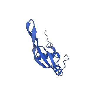 37560_8wi8_W_v1-0
Cryo- EM structure of Mycobacterium smegmatis 50S ribosomal subunit (body 1) of 70S ribosome, bS1 and RafH.
