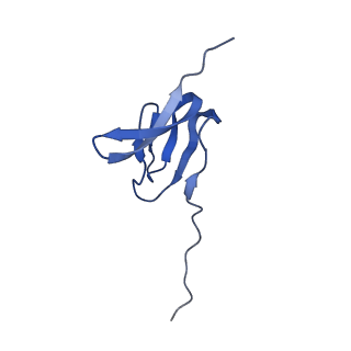 37560_8wi8_Z_v1-0
Cryo- EM structure of Mycobacterium smegmatis 50S ribosomal subunit (body 1) of 70S ribosome, bS1 and RafH.