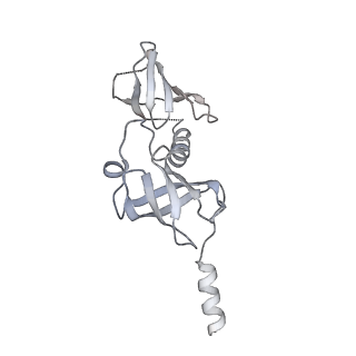 37561_8wi9_b_v1-0
Cryo- EM structure of Mycobacterium smegmatis 30S ribosomal subunit (body 2) of 70S ribosome, bS1 and RafH.