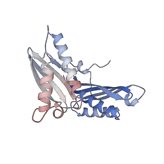 37561_8wi9_d_v1-0
Cryo- EM structure of Mycobacterium smegmatis 30S ribosomal subunit (body 2) of 70S ribosome, bS1 and RafH.