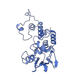 37561_8wi9_e_v1-0
Cryo- EM structure of Mycobacterium smegmatis 30S ribosomal subunit (body 2) of 70S ribosome, bS1 and RafH.