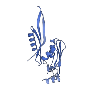 37561_8wi9_f_v1-0
Cryo- EM structure of Mycobacterium smegmatis 30S ribosomal subunit (body 2) of 70S ribosome, bS1 and RafH.