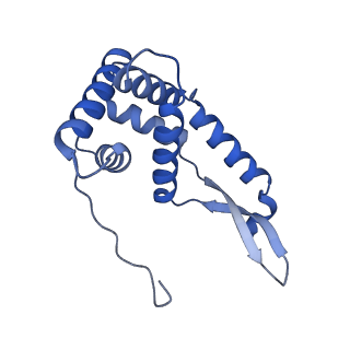 37561_8wi9_h_v1-0
Cryo- EM structure of Mycobacterium smegmatis 30S ribosomal subunit (body 2) of 70S ribosome, bS1 and RafH.