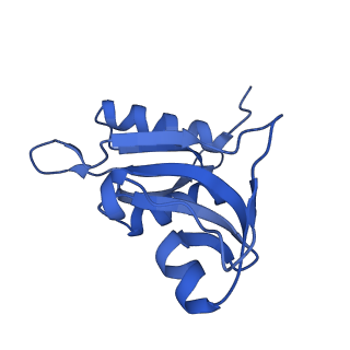 37561_8wi9_i_v1-0
Cryo- EM structure of Mycobacterium smegmatis 30S ribosomal subunit (body 2) of 70S ribosome, bS1 and RafH.