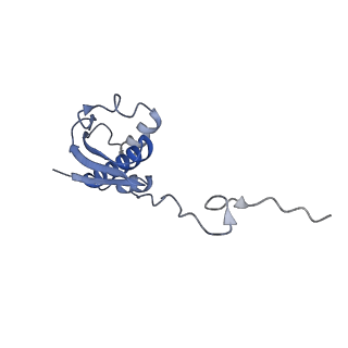 37561_8wi9_j_v1-0
Cryo- EM structure of Mycobacterium smegmatis 30S ribosomal subunit (body 2) of 70S ribosome, bS1 and RafH.