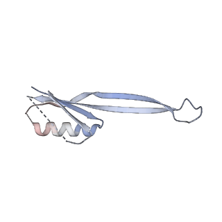 37561_8wi9_k_v1-0
Cryo- EM structure of Mycobacterium smegmatis 30S ribosomal subunit (body 2) of 70S ribosome, bS1 and RafH.