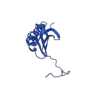 37561_8wi9_l_v1-0
Cryo- EM structure of Mycobacterium smegmatis 30S ribosomal subunit (body 2) of 70S ribosome, bS1 and RafH.