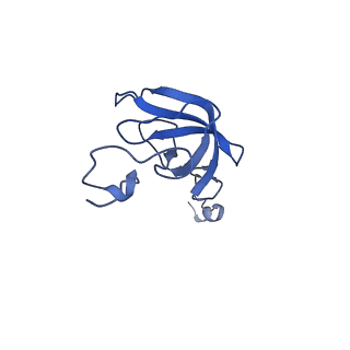 37561_8wi9_m_v1-0
Cryo- EM structure of Mycobacterium smegmatis 30S ribosomal subunit (body 2) of 70S ribosome, bS1 and RafH.