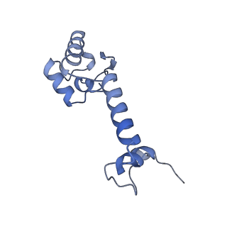 37561_8wi9_n_v1-0
Cryo- EM structure of Mycobacterium smegmatis 30S ribosomal subunit (body 2) of 70S ribosome, bS1 and RafH.