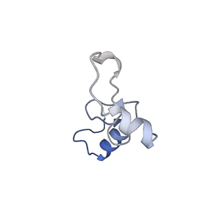 37561_8wi9_o_v1-0
Cryo- EM structure of Mycobacterium smegmatis 30S ribosomal subunit (body 2) of 70S ribosome, bS1 and RafH.