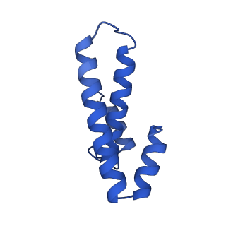 37561_8wi9_p_v1-0
Cryo- EM structure of Mycobacterium smegmatis 30S ribosomal subunit (body 2) of 70S ribosome, bS1 and RafH.