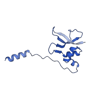 37561_8wi9_q_v1-0
Cryo- EM structure of Mycobacterium smegmatis 30S ribosomal subunit (body 2) of 70S ribosome, bS1 and RafH.